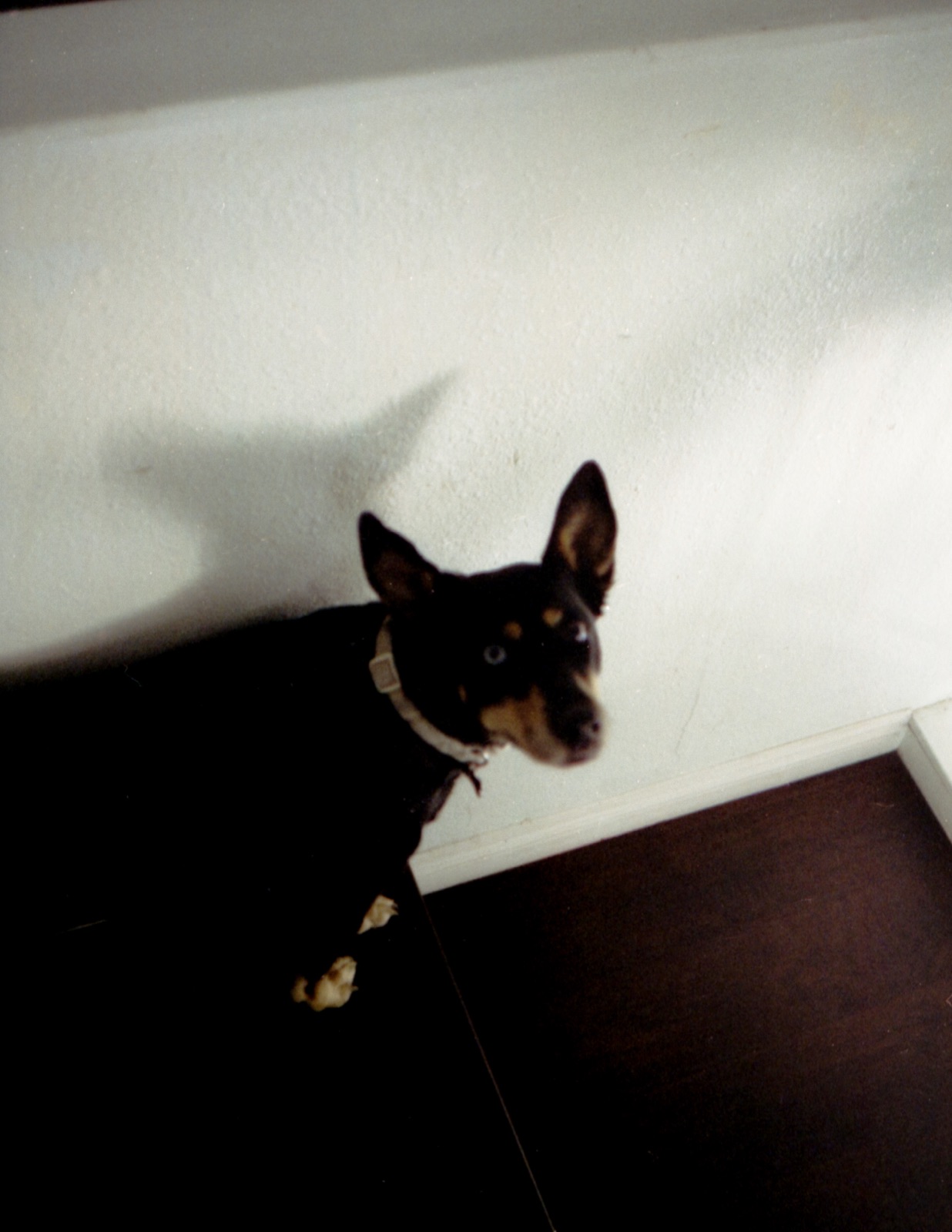 Made with OpenEnlarge